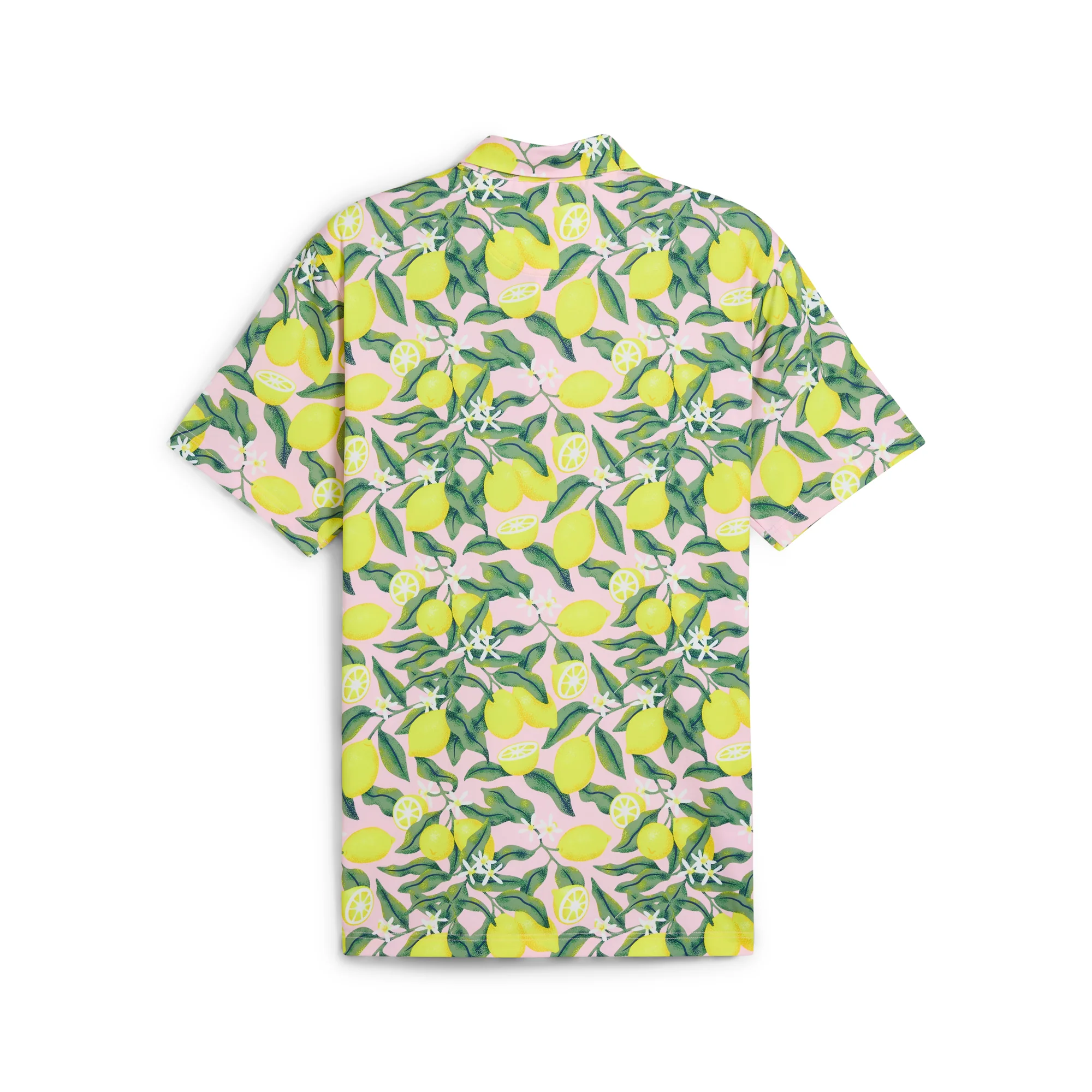 AP Lemon Branch Golf Polo - Image 12
