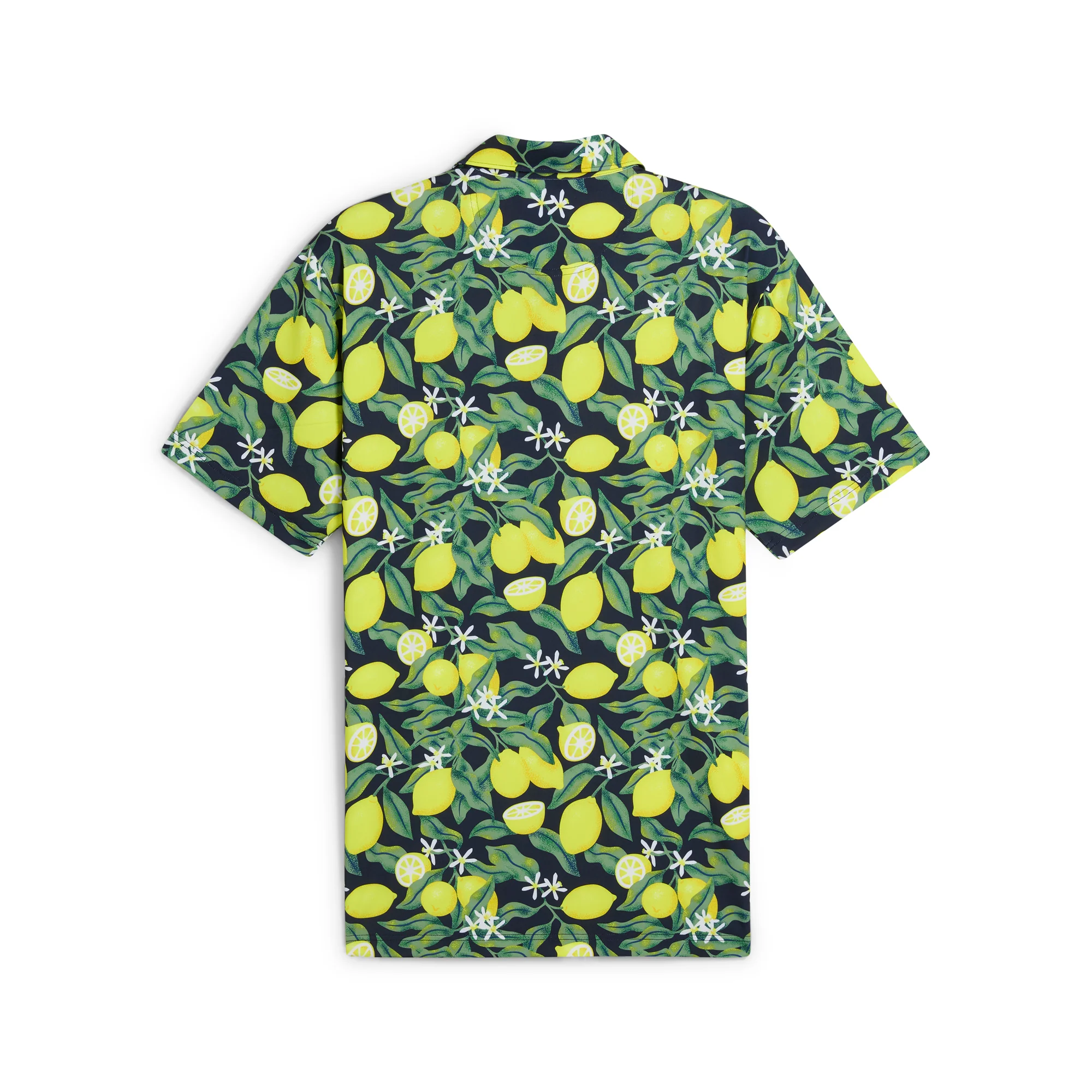 AP Lemon Branch Golf Polo - Image 6